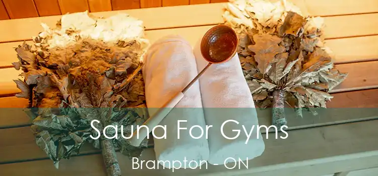 Sauna For Gyms Brampton - ON